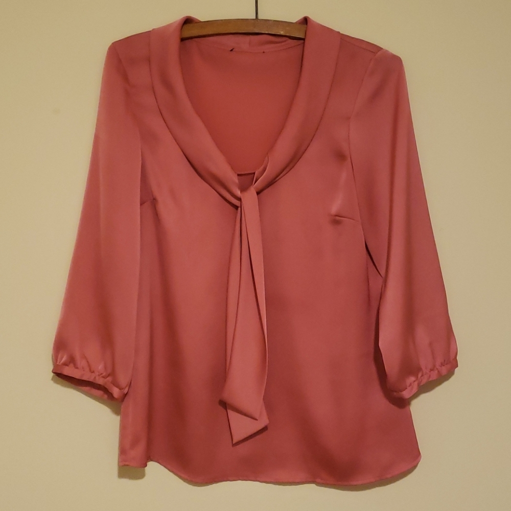 Silky Dress Blouse